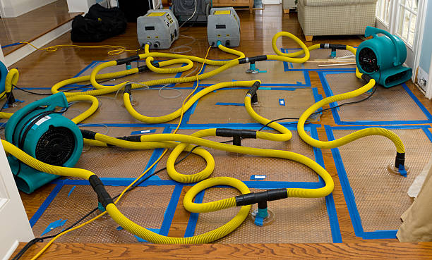 Professional Flood Damage Restoration technician working in Lincoln Park, MI